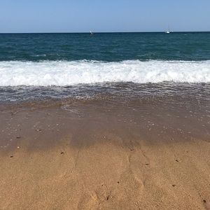 Meet your Posher, Molly